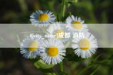 五家渠成都 消防