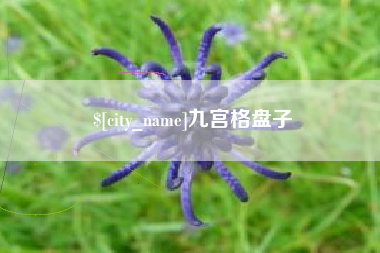 五家渠九宫格盘子