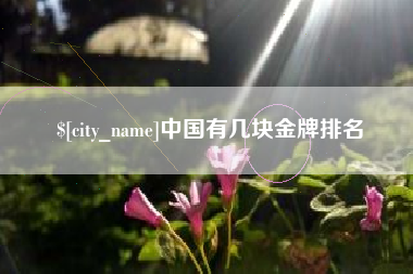 五家渠中国有几块金牌排名