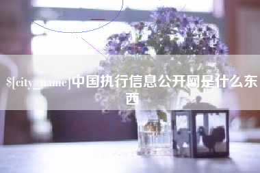 五家渠中国执行信息公开网是什么东西
