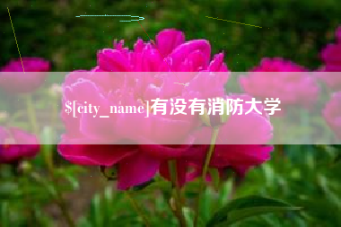 五家渠有没有消防大学