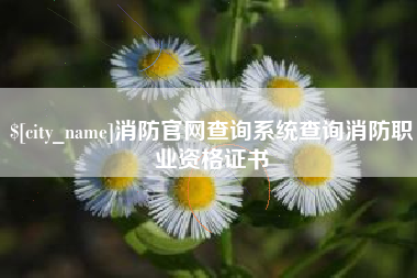 五家渠消防官网查询系统查询消防职业资格证书