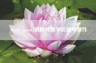 五家渠消防救援学院报考条件