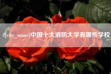 五家渠中国十大消防大学有哪些学校