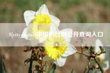 五家渠中国执行网公开查询入口