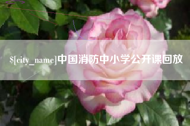 五家渠中国消防中小学公开课回放