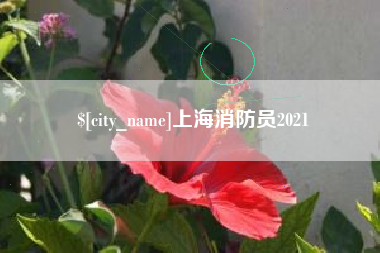 五家渠上海消防员2021