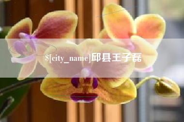 五家渠邱县王子磊