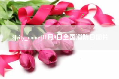 五家渠11月9日全国消防日图片