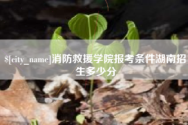 五家渠消防救援学院报考条件湖南招生多少分