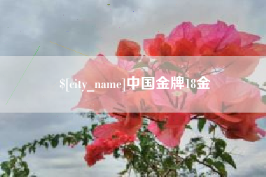 五家渠中国金牌18金