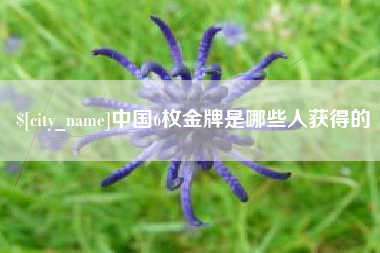 五家渠中国6枚金牌是哪些人获得的