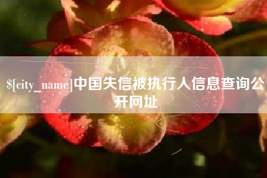 五家渠中国失信被执行人信息查询公开网址