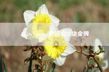 五家渠奥运会39块金牌
