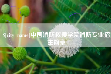五家渠中国消防救援学院消防专业招生简章