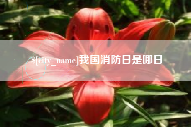 五家渠我国消防日是哪日