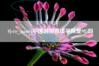 五家渠中国消防救援学院是985吗