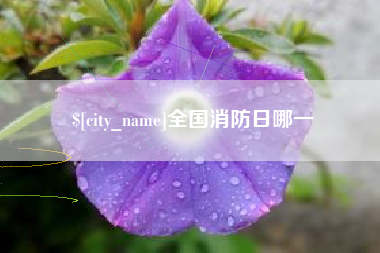 五家渠全国消防日哪一