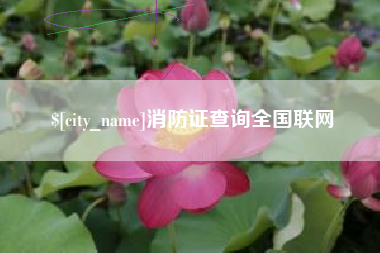 五家渠消防证查询全国联网