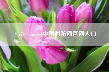 五家渠中国消防网官网入口