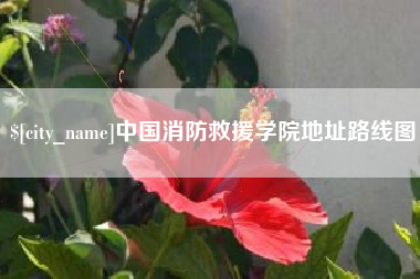 五家渠中国消防救援学院地址路线图