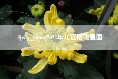 五家渠2022年九宫格飞星图
