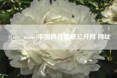 五家渠中国执行信息公开网 网址
