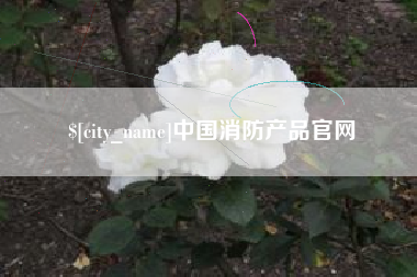 五家渠中国消防产品官网