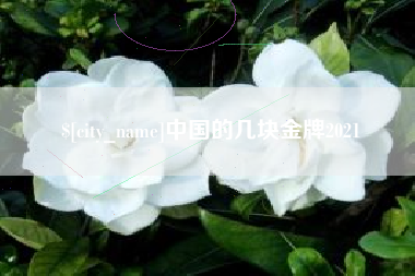 五家渠中国的几块金牌2021