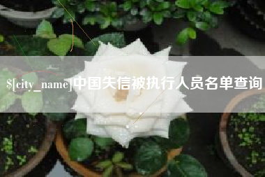 五家渠中国失信被执行人员名单查询