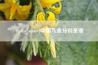 五家渠中国九金分别是谁
