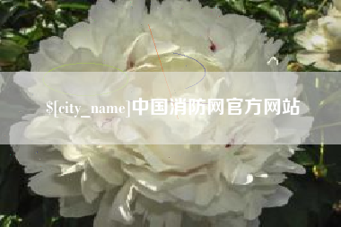 五家渠中国消防网官方网站