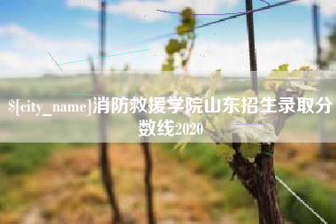 五家渠消防救援学院山东招生录取分数线2020
