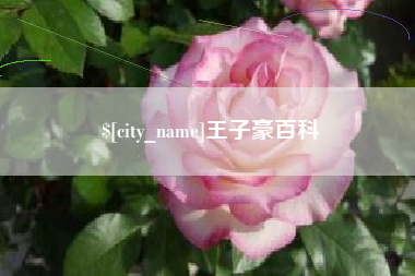 五家渠王子豪百科