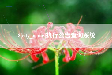 五家渠执行公告查询系统