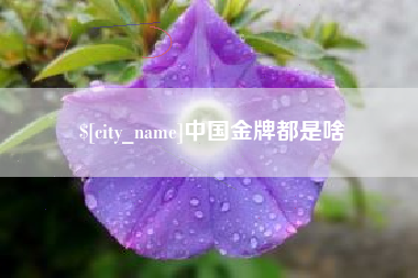 五家渠中国金牌都是啥