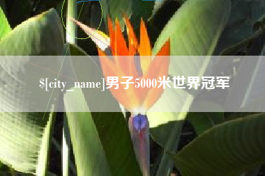 五家渠男子5000米世界冠军