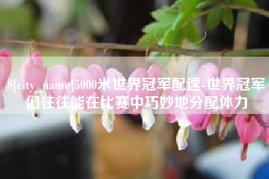 五家渠5000米世界冠军配速-世界冠军们往往能在比赛中巧妙地分配体力