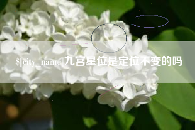 五家渠九宫星位是定位不变的吗