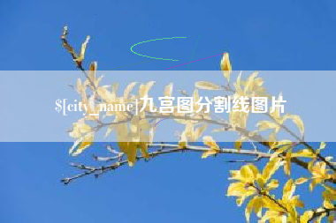 五家渠九宫图分割线图片