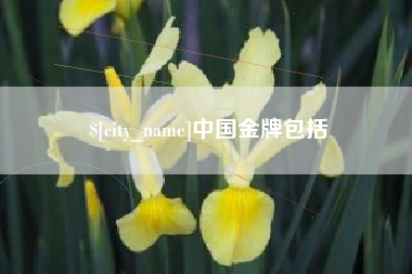五家渠中国金牌包括