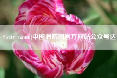 五家渠中国消防网官方网站公众号达伦特
