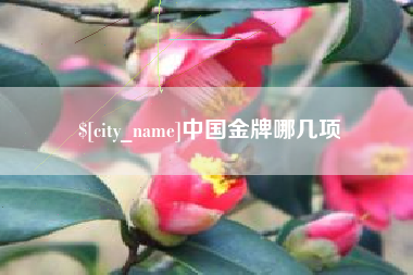 五家渠中国金牌哪几项