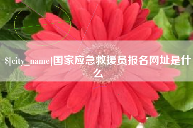 五家渠国家应急救援员报名网址是什么