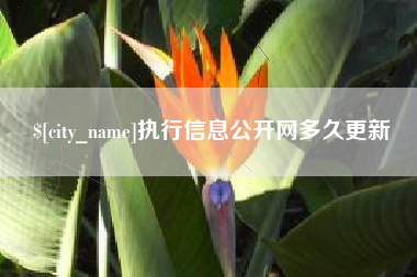 五家渠执行信息公开网多久更新
