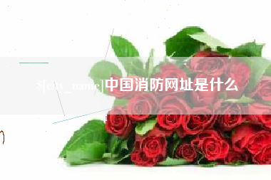 五家渠中国消防网址是什么