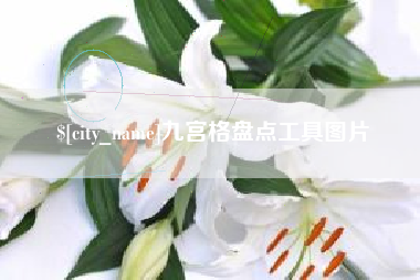 五家渠九宫格盘点工具图片