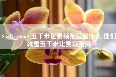 五家渠五千米比赛领跑员是什么-他们就是五千米比赛领跑员