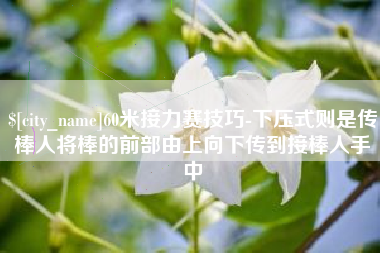 五家渠60米接力赛技巧-下压式则是传棒人将棒的前部由上向下传到接棒人手中