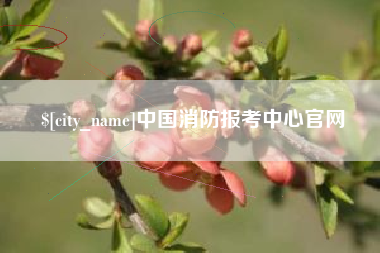 五家渠中国消防报考中心官网